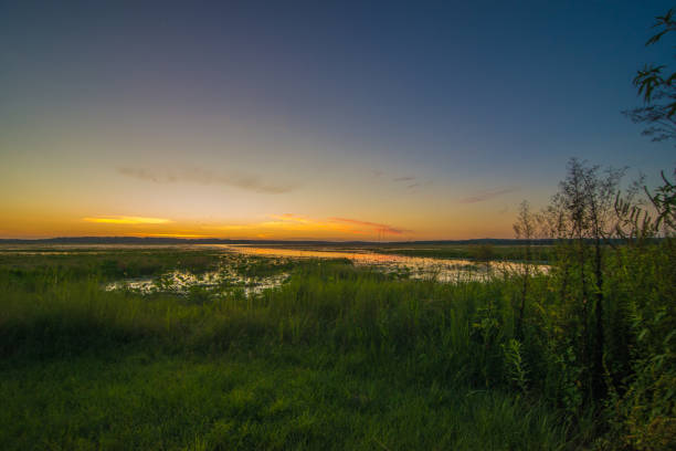 istock Sunrise over marshy Lake Jackson 1071754712