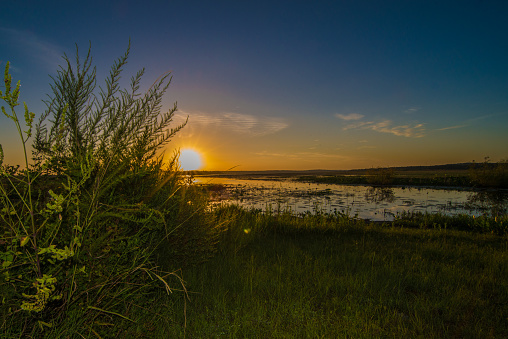Tropical summer sunrise over marshy Lake Jack