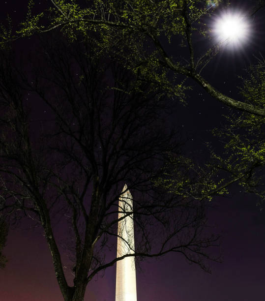 istock The National Monument Hiding Behind a Tree, with a Full Moon and a Purple Sky 1071754902