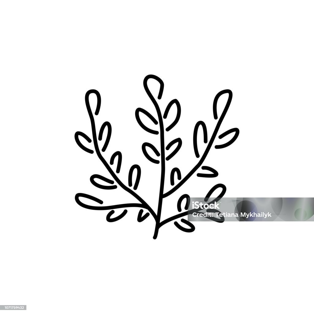 Minh Họa Vector Đen Trắng Của Thảo Mộc Trang Trí Với Lá Biểu Tượng ...