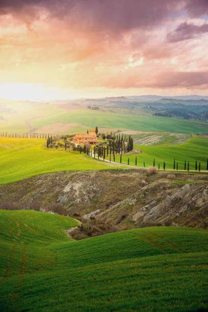 istock idyllic landscape in Tuscany, Italy 1071759958
