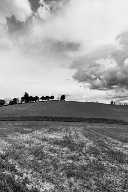 istock Early spring morning in the countryside, fields and cloudy sky 1071761678