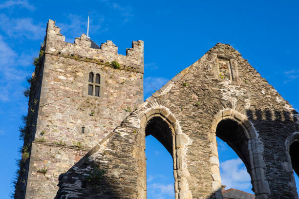 französische kirche oder greyfriars abbey in waterford, irland - franciscan stock-fotos und bilder