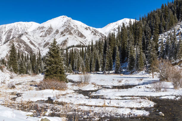 istock winter landscape in the mountains 1071771232