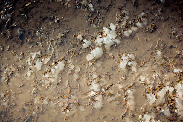 istock White snow on rocky and muddy surface 1071774768