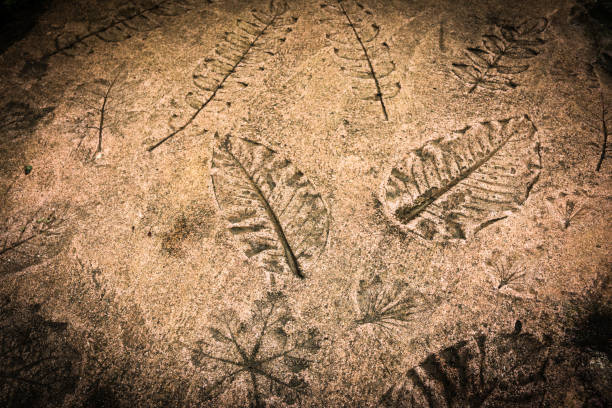 istock Marks of nature leafs on the concrete background 1071780028