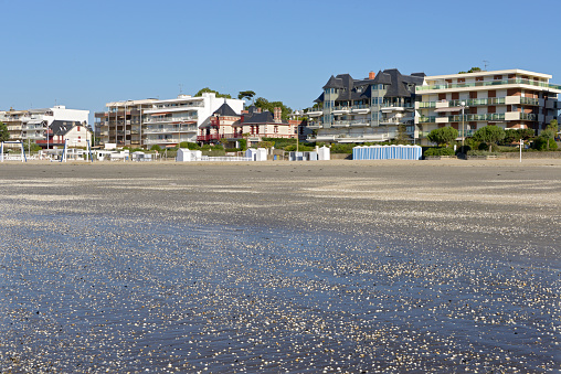 Beach at low tide of La Baule Escoublac with lots of shells of common cockle on the sand. La Baule Escoublac is a commune in the Loire-Atlantique department in western France is a famous seaside resort on the Côte d'Amour
