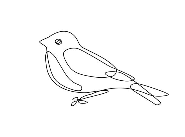 Continuous line drawing of bird Continuous line drawing of bird. continuous line drawing bird stock illustrations