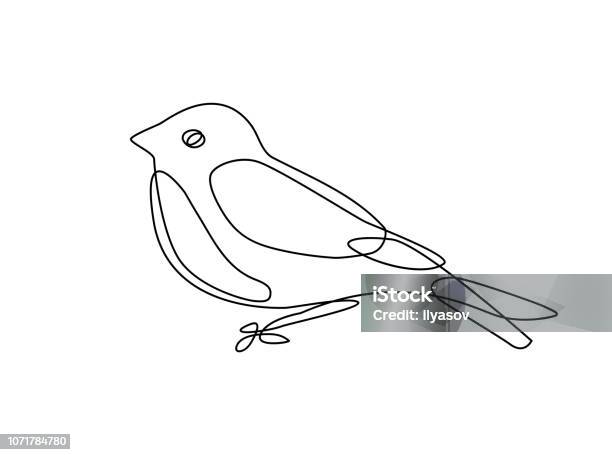 Continuous Line Drawing Of Bird Stock Illustration - Download Image Now - Bird, In A Row, Outline