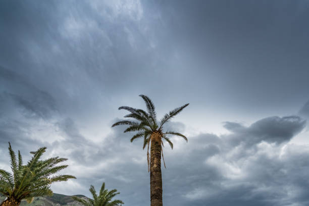 Spooky tropical storm in Florida