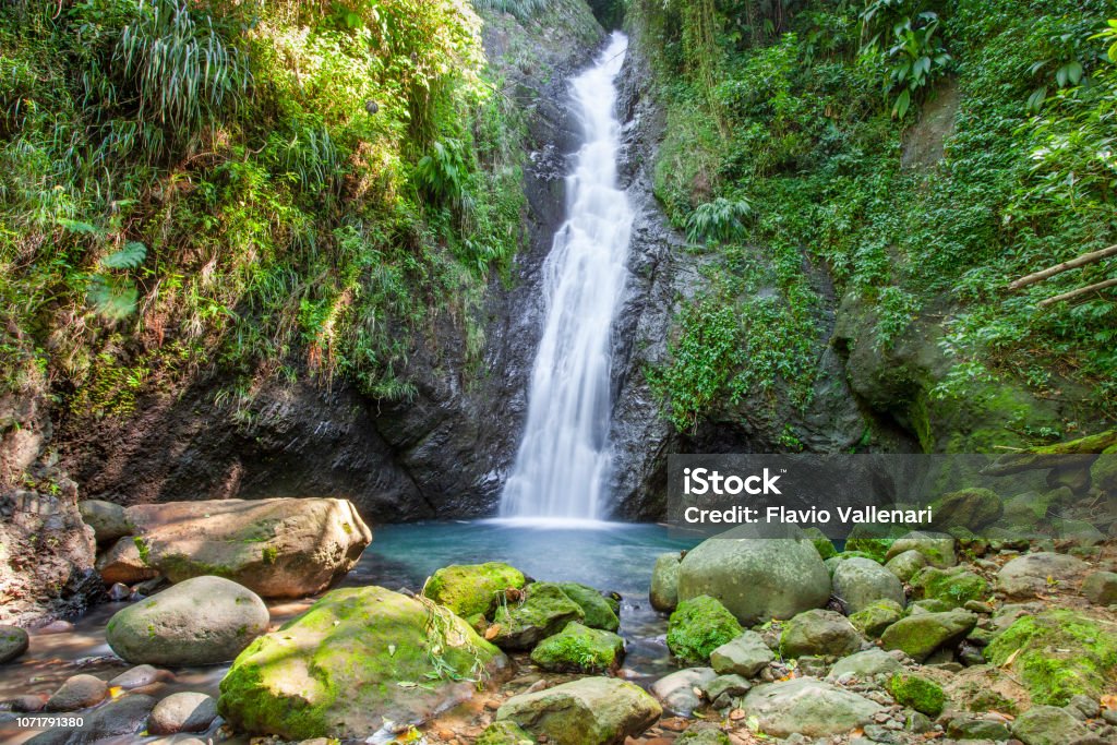 Grenada, Au Coin Falls Waterfall Stock Photo