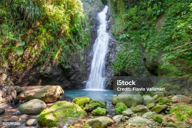 Grenada Au Coin Falls Stock Photo - Download Image Now - Waterfall, Caribbean, Grenada