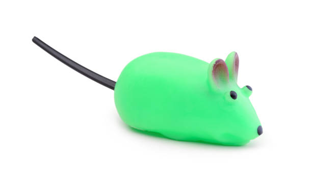 Wireless mouse and keyboard isolated on blue pastel background. Top view, minimalist trend