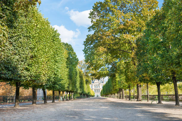 istock Tuileries garden in Paris 1071796056