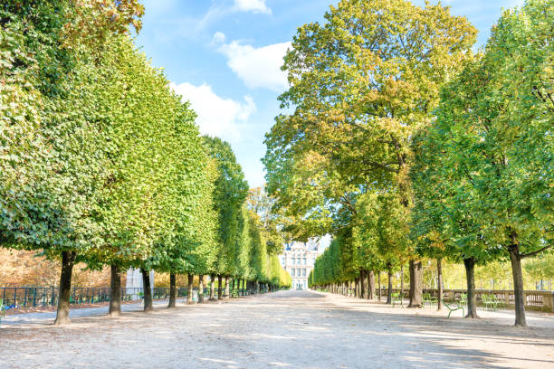 istock Tuileries garden in Paris 1071798052