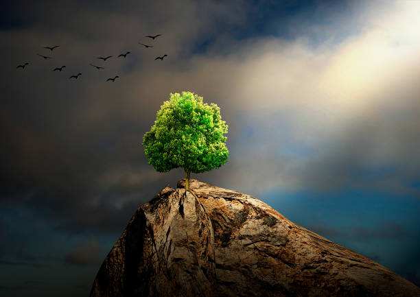 istock tree alone on rocky mantle with faint light coming from the sky, 3D rendering 1071803504