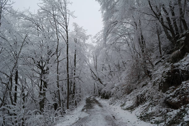 istock Winter season in Berkovitsa Balkan 1071807710