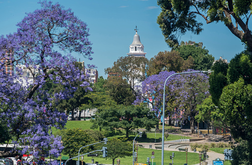 View of the church bell tower and a public park in Recoleta district during jacarandas blossom at Buenos Aires city, Argentina