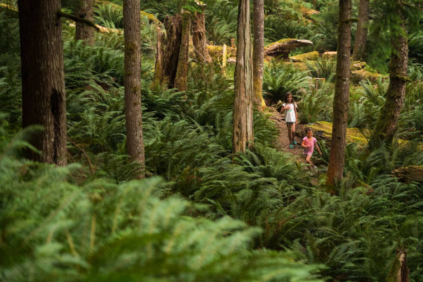 istock Sisters immersed in lush nature 1071812678