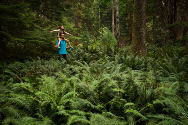 ojciec i córka wiązanie w przyrodzie - british columbia rainforest forest canada zdjęcia i obrazy z banku zdjęć