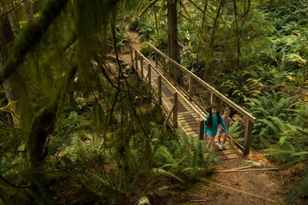 istock Sisters hiking in a lush green forest 1071812788