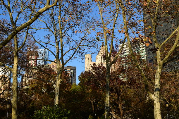 istock New York City 1071812930