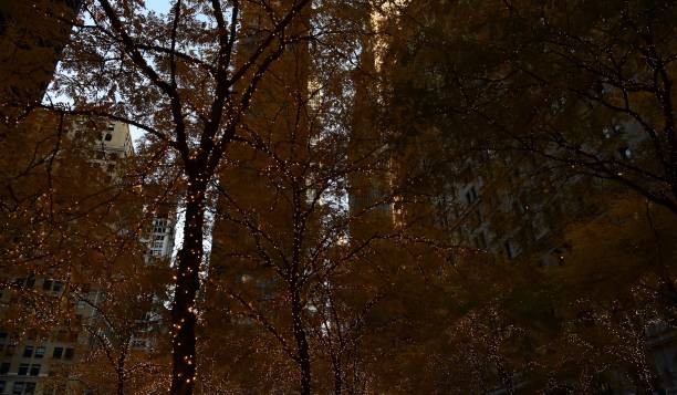 istock New York City 1071813056