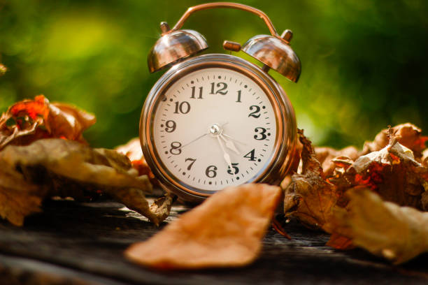 istock A classic alarm clock between a lot of leaves 1071816102