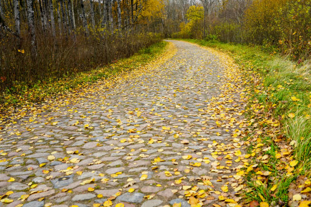 an old paved curved road, covered with fallen yellow tree leaves in the autumn