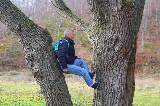 istock Happy smiling adult man hiker climbing on a tree between two tree trunks 1071824138