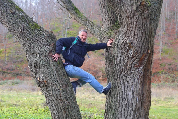 istock Happy smiling adult man hiker climbing on a tree between two tree trunks 1071824152
