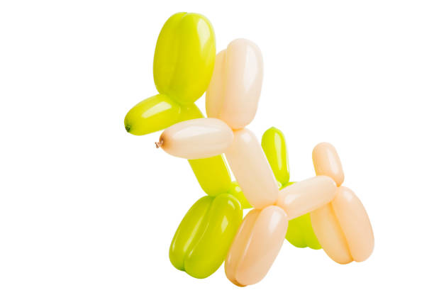 istock dogs from balloons 1071827466