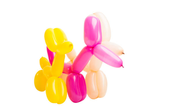 istock dogs from balloons 1071829638