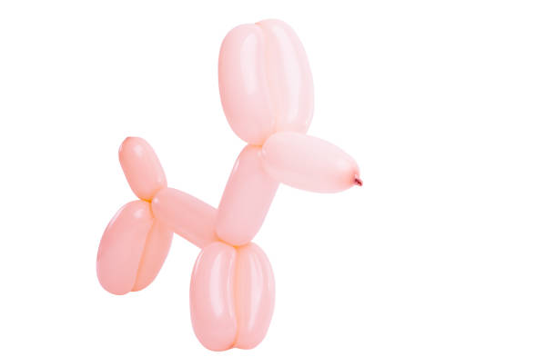 istock dogs from balloons 1071830182