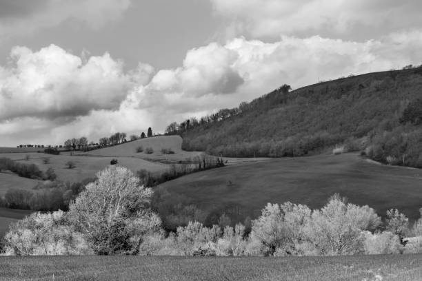 istock Black and white countryside landscape, fields and cloudy sky 1071832350