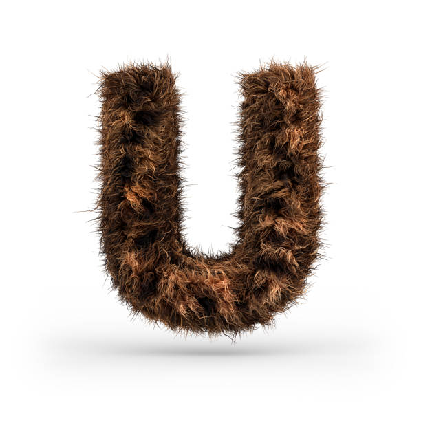 istock Uppercase fluffy and furry font. Letter U. 3D 1071837144