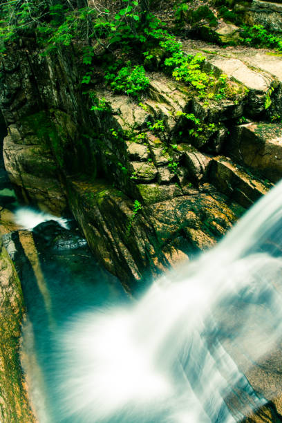 Waters of White Mountain National Park