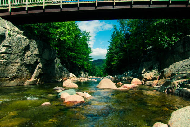 Waters of White Mountain National Park