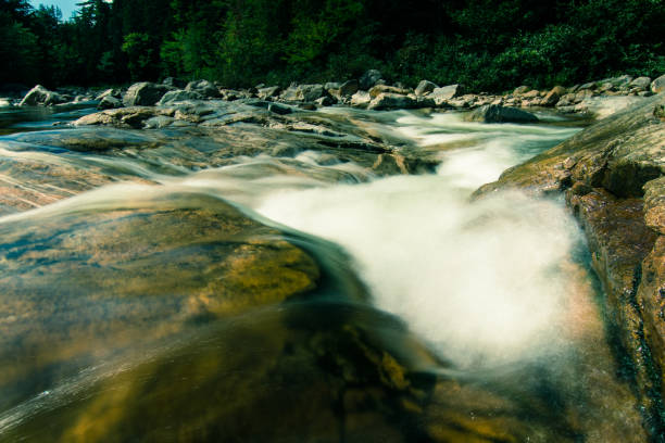 Waters of White Mountain National Park