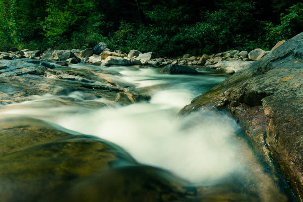 istock Waters of White Mountain National Park 1071846976