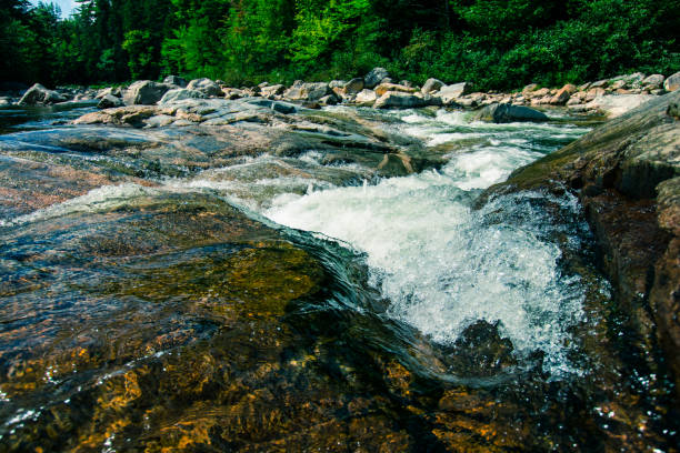 Waters of White Mountain National Park