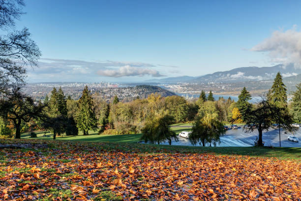 istock autumn leaves fallen on mountain slope 1071861486
