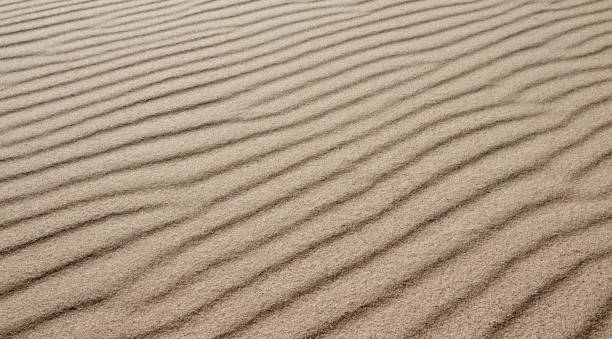 arena en la playa como un fondo o textura - arena patrón formado por el viento - sandy brown fotos fotografías e imágenes de stock