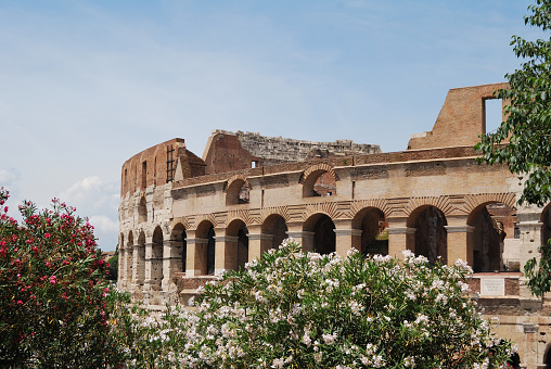 View of famous Coliseum - Rome, Italy.