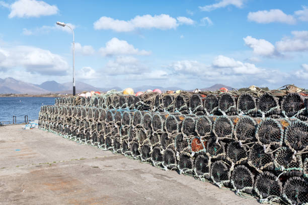 Crab pots, Roundstone Harbour, County Galway, Ireland