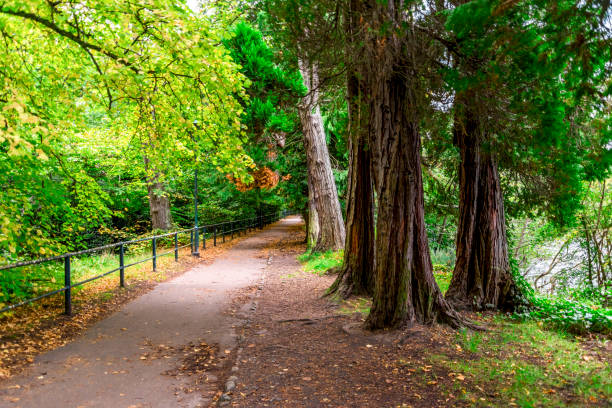 istock A Great Glen way footpath along river Ness, Inverness, Scotland 1071902094