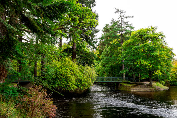 Ness islands scenic landscape with a small pedestrian bridge over the river Ness, Inverness, Scotland