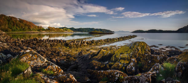Rubha Fionnar Rubha Fionnar shore in sunset light, Highlands, Scotland oban stock pictures, royalty-free photos & images