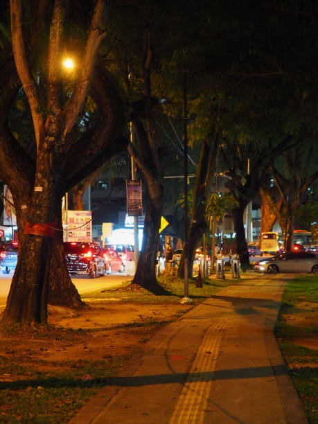 istock Malaysia Photography 1071913784