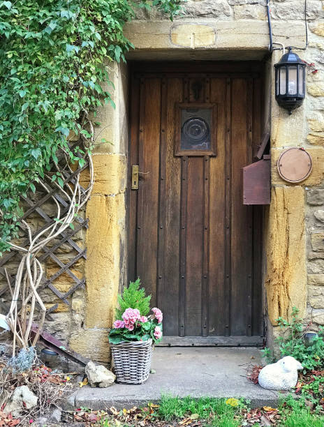 istock Wooden Door Plant 1071913788